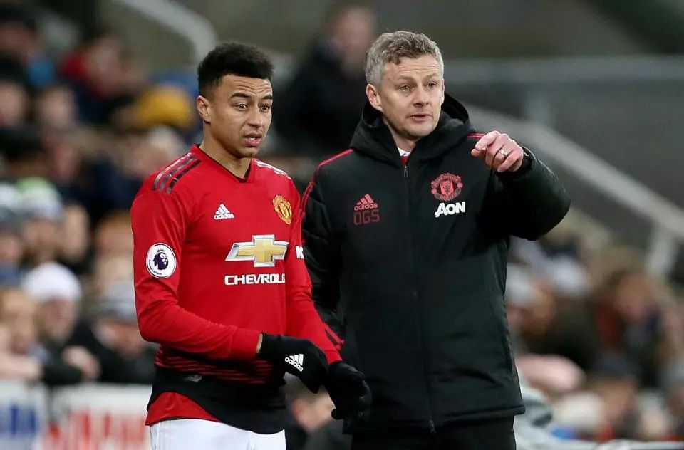 在此后的岁 在此后的岁