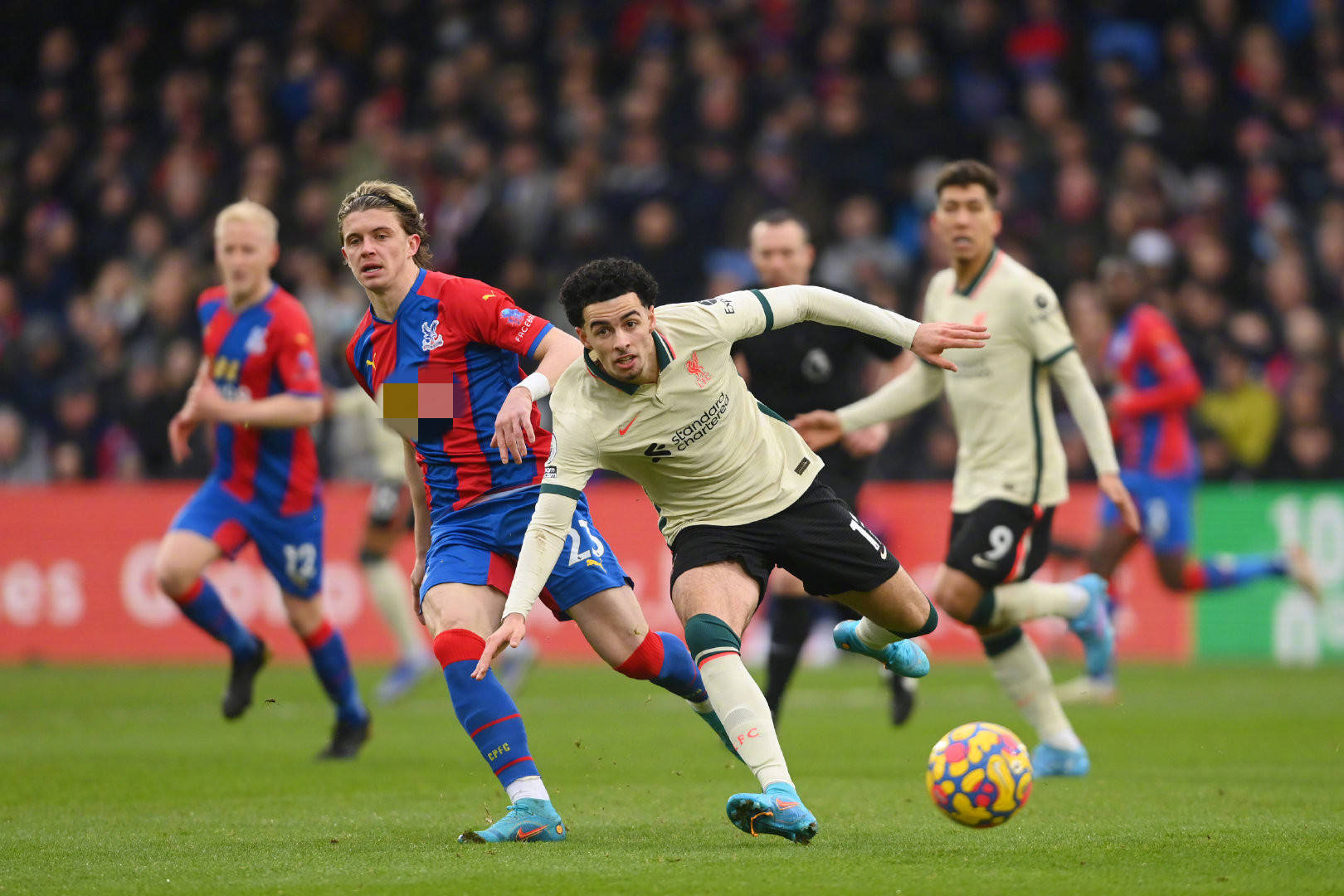 业内人士为 业内人士为